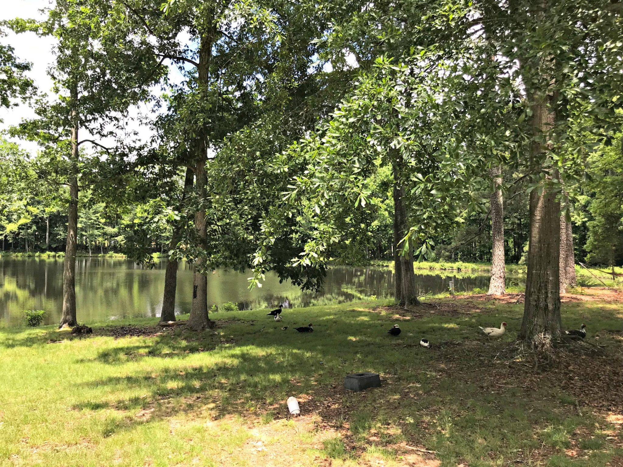 Cedar Village Carollton GA Pentagon Homes Mobile Home Communities